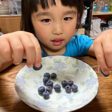 無肥料・無農薬で育てている我が家の家庭菜園日記:ブルーベリーの挑戦