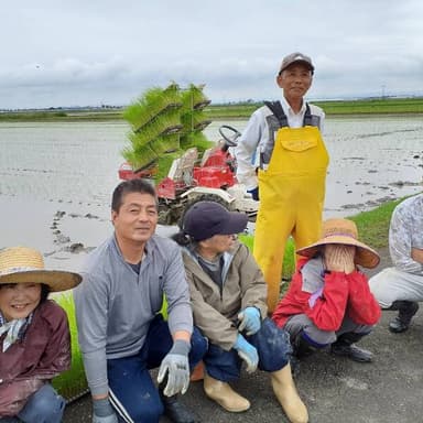 30年DNAコシヒカリ植え付け2日目:娘の夫が田植え機操作デビュー!