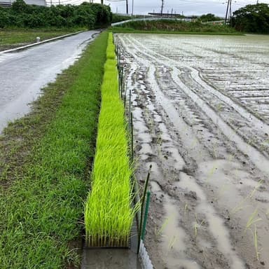 なぜ変なモノを使った食べ物を購入するのか不思議(変な身体になるのは当たりまえ)
