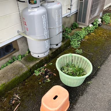 草取り大作戦で自分の運の器を綺麗にすることから始めましょう