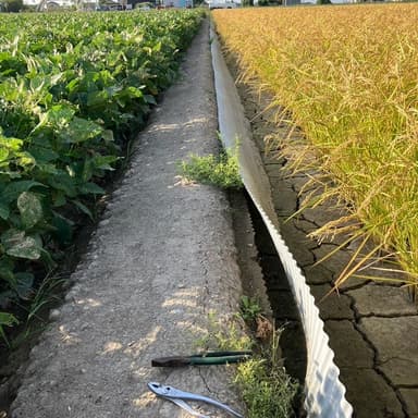 「自然の助けで水止めのアゼナミを外す作業を進める」