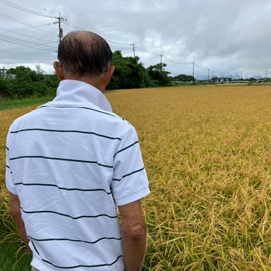 佐賀県特別栽培農産物「米の収穫前確認検査、無事に終了しました」