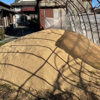 無料【お知らせ】無肥料・無農薬栽培のもみがらと米ぬかをお分けします✨