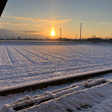 今年の雪と自然の恵み