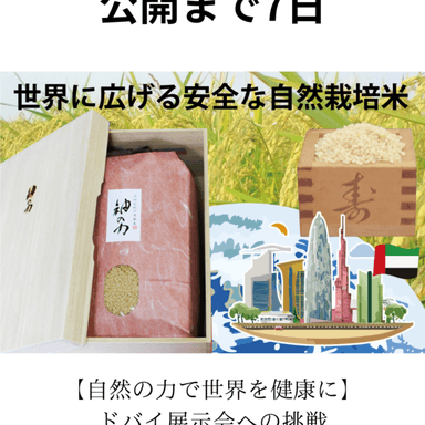 🌍ドバイ展示会への挑戦✨クラウドファンディングの公開予約日