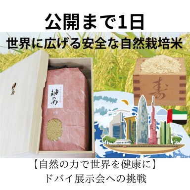 クラウドファンディング、いよいよ明日スタート!