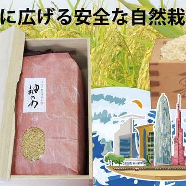 🌱クラウドファンディング、本日9時公開!✨