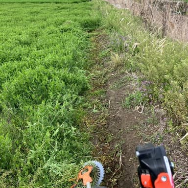 🌿田んぼの草刈り作業🌿