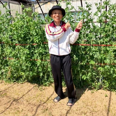 今年のグリーンピースは、最高です