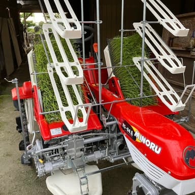 🌱田植え前の試運転