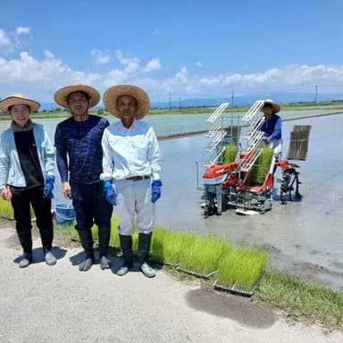 🌾今日から田植えが始まりました🌞