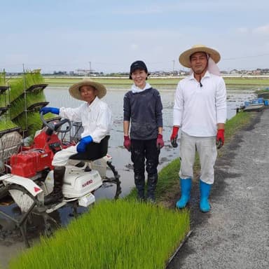 みのるポット田植え機で自然栽培米【無肥料・無農薬】コシヒカリ