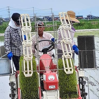 みのるポット田植え機4条植えに3名が乗り絶好調