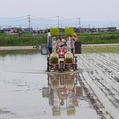 皆さんのお陰で、田植えが予定通りに終わりました