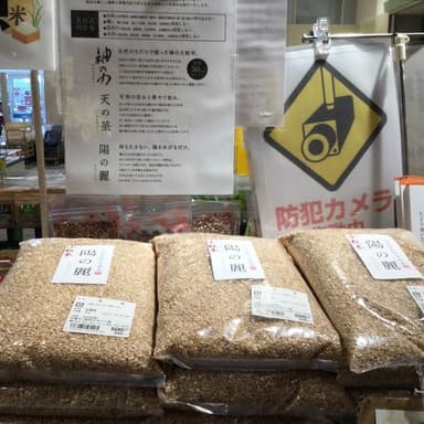 本物の農薬不使用・肥料不使用米こしひかりは人気