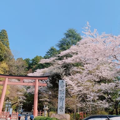 香取神宮は