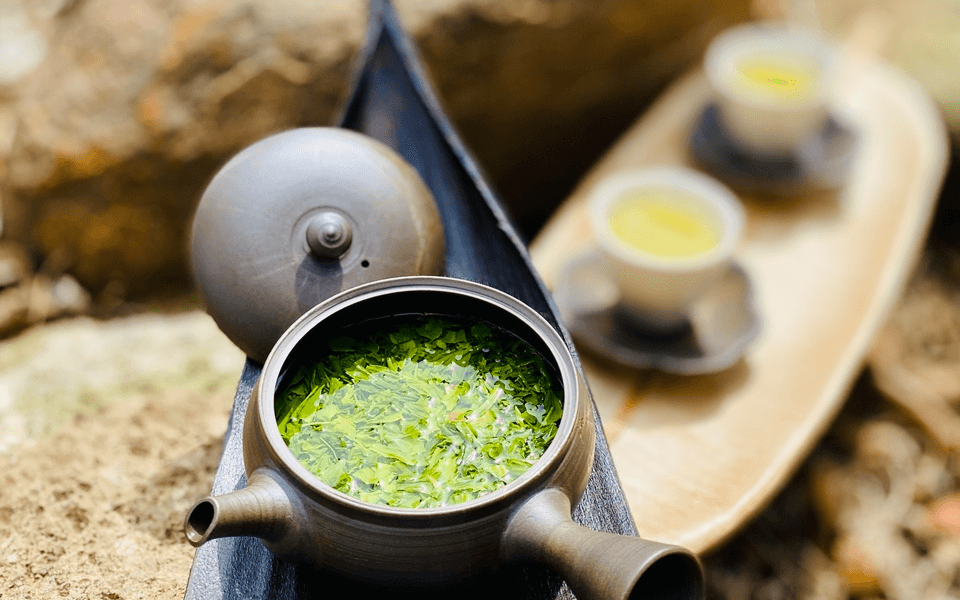 香り高き“旬”の新茶🍵2026年の新茶、ご予約始まりました!