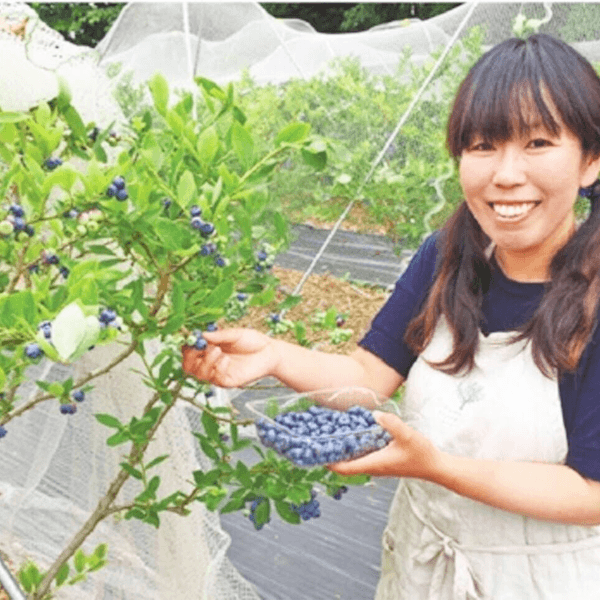 温暖化の影響:早まった収穫と増加した害虫への対策