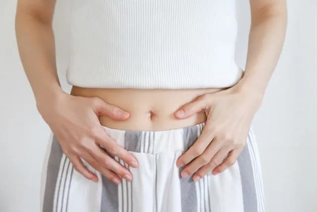 女性ホルモンと腸の関係|腸から整える更年期ケア