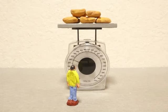 食物繊維だけじゃない。腸を整える“やさしい食べ方”