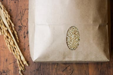 新米の保存方法と保存期間〜賞味期限はある?10kg・30kg・玄米の保管方法