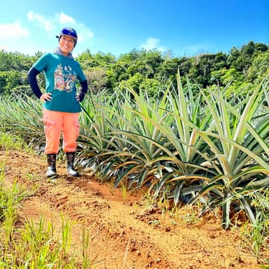 パイナップル、グングン成長しています