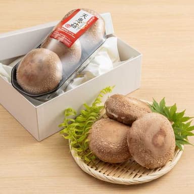 簡単&絶品!白菜、天恵菇、豚バラ肉のミルフィーユ鍋レシピ