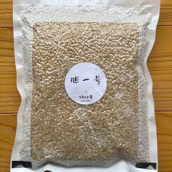 【完売御礼】令和7年産<旭一号>無農薬・無化学肥料・冬期湛水・ハザかけ天日干し