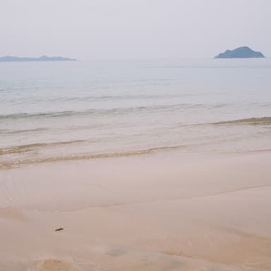 夏至の養生