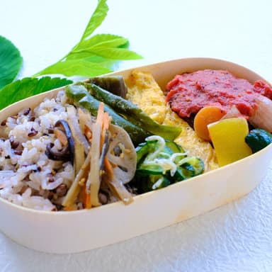 夏のお弁当5種のご紹介<煮込みハンバーグ弁当>
