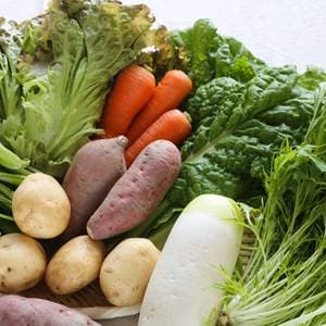 無農薬 露地野菜セット