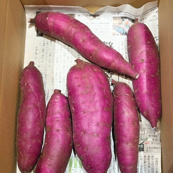 紫芋(パープルスイートロード) 1kg