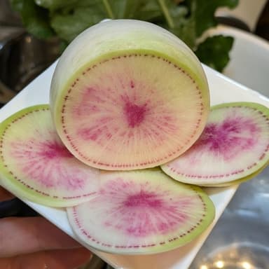 秋の畑 他の野菜を紹介します(大根)