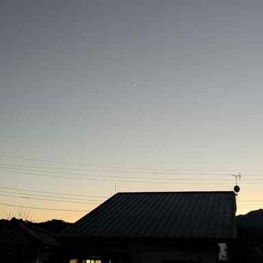 秋から冬にかけての畑 里芋編
