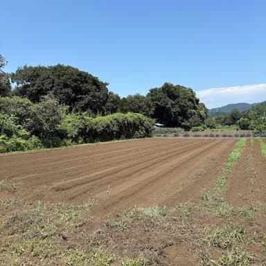 猛暑が続き雨が降らなかった40日間