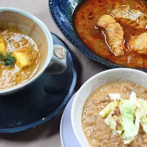 週1ごほうび<旬のカレーセット>素材の味を楽しむ!野菜or肉のみなど選べるトッキの特製スパイスカレー詰め合わせ