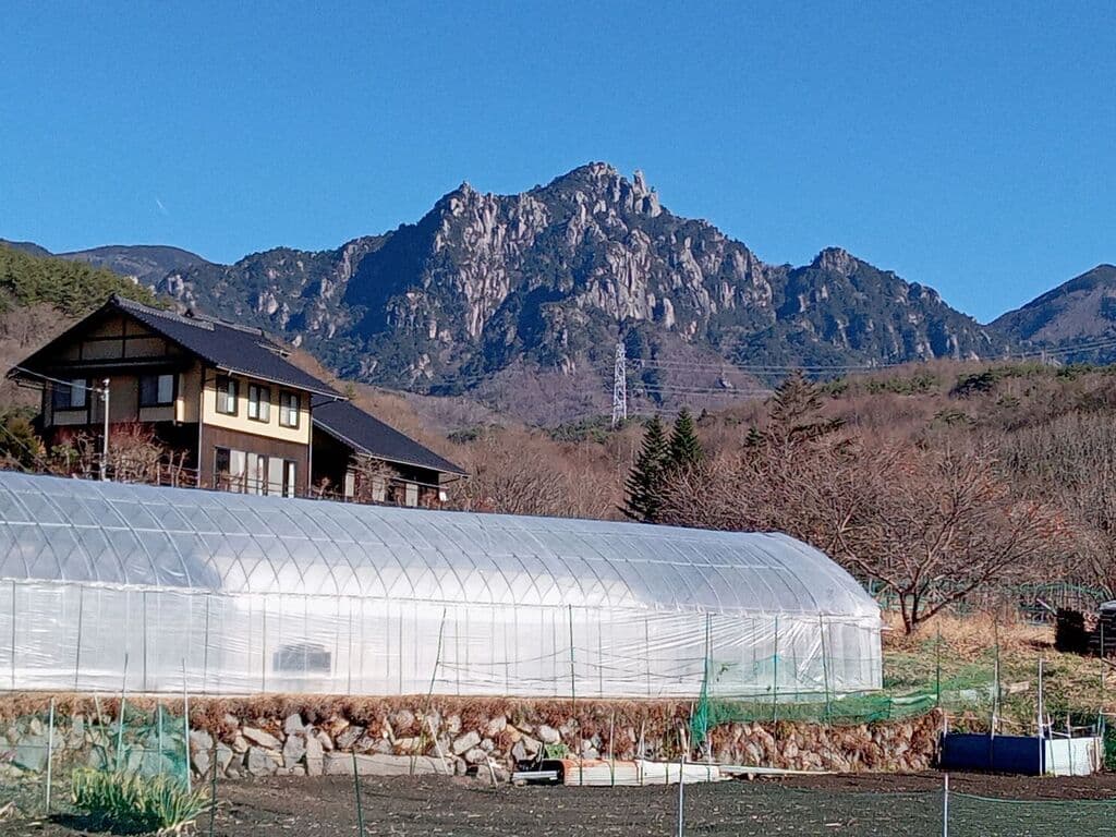Watanabe farmメイン画像