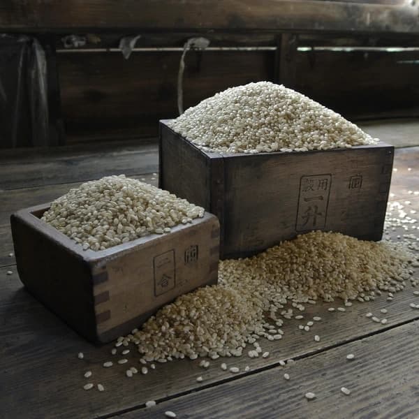 【予約販売】令和8年度産 玄米5kg