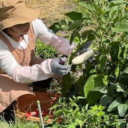 Natural&Organic発酵おやつとぱんの森野茶房plusプロフィール画像