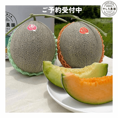 2024年椿メロンがスタート