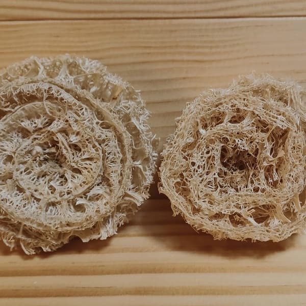 幅7~9cm・厚み約3cm